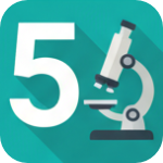 5 клас