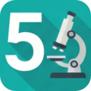 5 клас